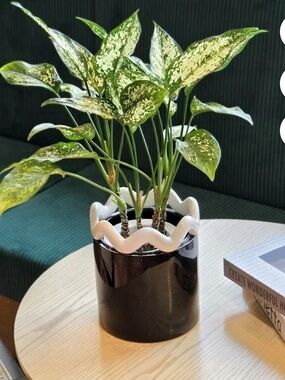 6” x 6” x 6.9” BRAND NEW BLACK CERAMIC 🪴 PLANTER POT 💥BRAND NEW💥
